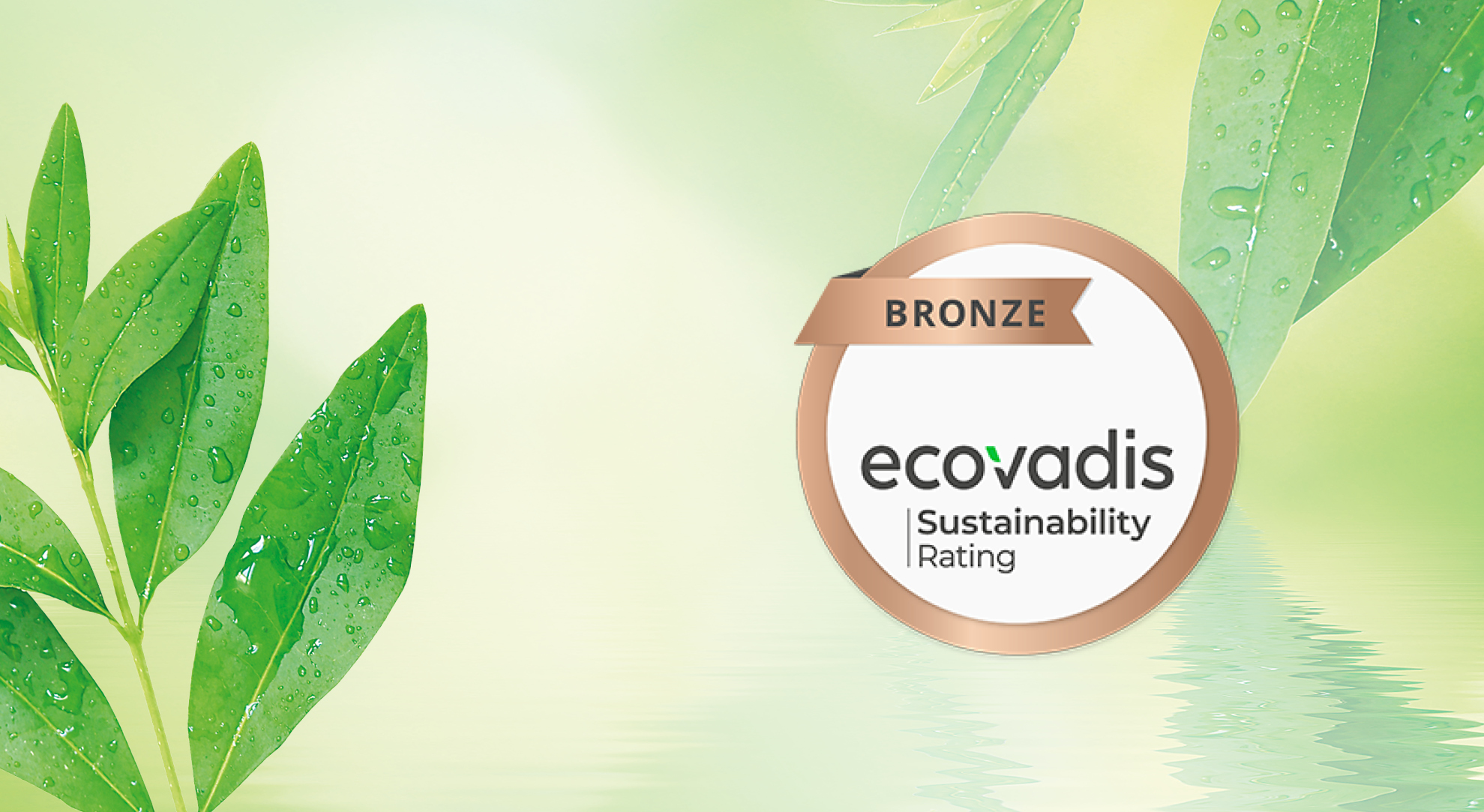 [Translate to English:] ProPress EcoVadis Rating